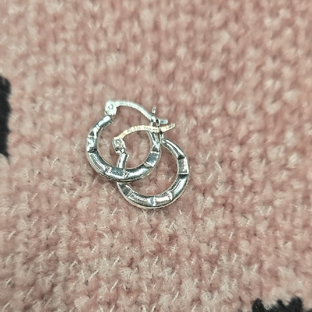 Chic Silver Hoop Earrings